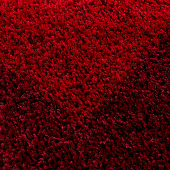 Rood hoogpolig vloerkleed Gold Shaggy  