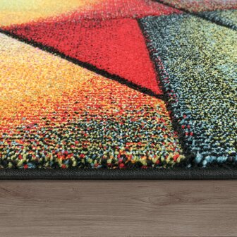Multicolor vloerkleed PICASSO 758