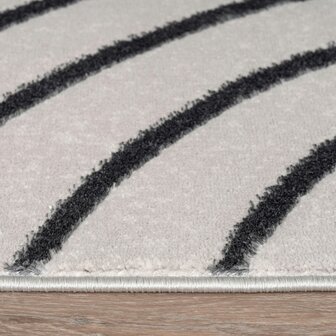 Modern karpet of vloerkleed BRUSSEL 215 kleur grijs