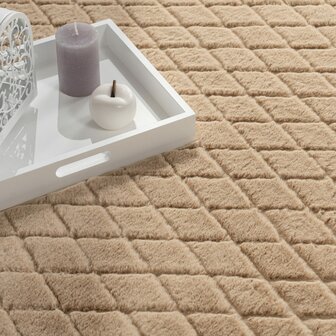 Hoogpolig soft vloerkleed ANDRES 742 kleur beige