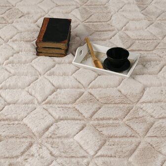 Hoogpolig soft vloerkleed ANDRES 745 kleur beige