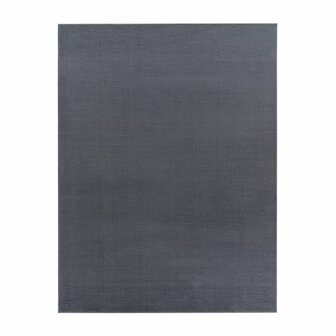 Effen antraciet vloerkleed of karpet AMBIANCE 521