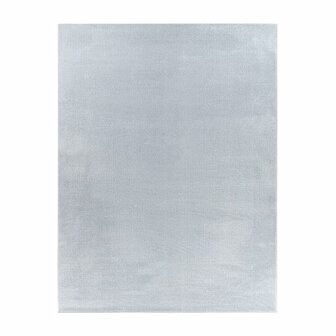 Effen grijs vloerkleed of karpet AMBIANCE 521