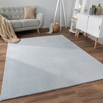 Effen grijs vloerkleed of karpet AMBIANCE 521