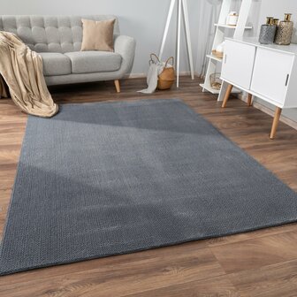 Effen antraciet vloerkleed of karpet AMBIANCE 521