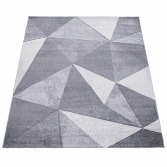 Design vloerkleed BREMEN 874 kleur grijs