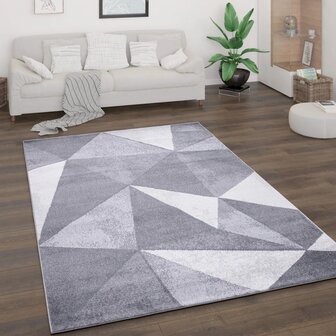 Design vloerkleed BREMEN 874 kleur grijs