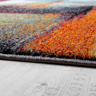 Multicolor vloerkleed ROME 710
