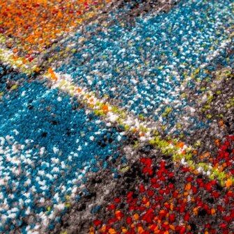 Multicolor vloerkleed ROME 710
