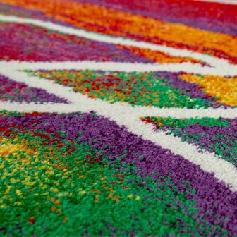Multicolor vloerkleed BERLIJN 902