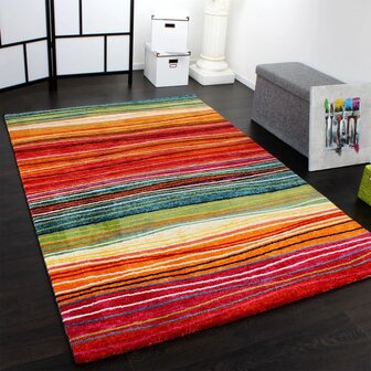 Multicolor vloerkleed BERLIJN 773