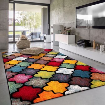 Multicolor vloerkleed PICASSO 765