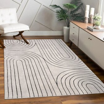 Modern karpet of vloerkleed BRUSSEL 215 kleur grijs