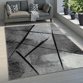 Modern vloerkleed MARCO 113 kleur grijs