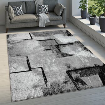 Modern vloerkleed MARCO 103 kleur grijs