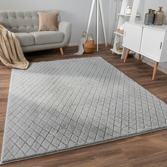 Hoogpolig soft vloerkleed ANDRES 742 kleur grijs