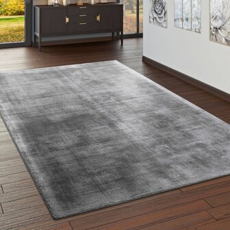 Viscose vloerkleed of karpet MERLIN kleur grijs 330