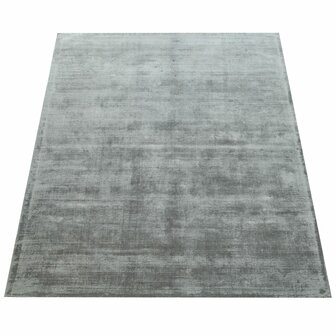Viscose vloerkleed of karpet MERLIN kleur grijs 330