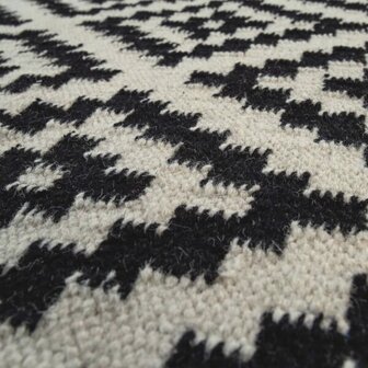 Vloerkleed of karpet VIENNA kleur zwart wit 500