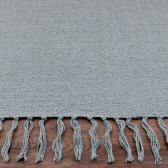 Vloerkleed of karpet PARMA kleur grijs 350