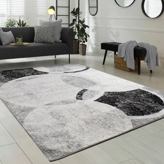 Modern vloerkleed of karpet ARIZONA  kleur grijs 055