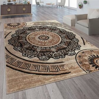 Modern vloerkleed of karpet ARIZONA  kleur bruin 077