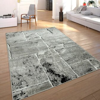 Modern vloerkleed of karpet ARIZONA  kleur grijs 050