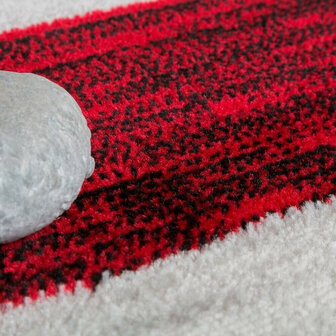 Modern vloerkleed of karpet ARIZONA  kleur rood 053