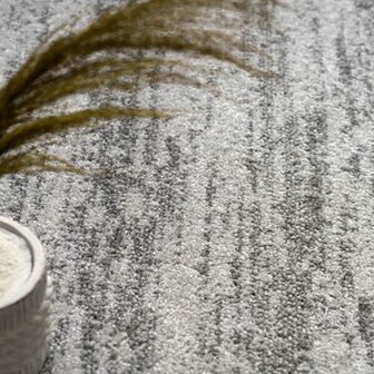 Modern vloerkleed of karpet ARIZONA  kleur rood 059