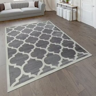 Modern vloerkleed of karpet ARIZONA  kleur grijs 066