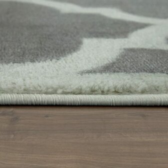Modern vloerkleed of karpet ARIZONA  kleur grijs 066