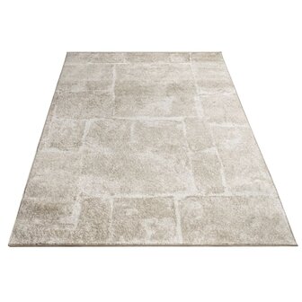 Modern vloerkleed of karpet ARIZONA  kleur bruin 050