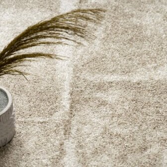 Modern vloerkleed of karpet ARIZONA  kleur bruin 050