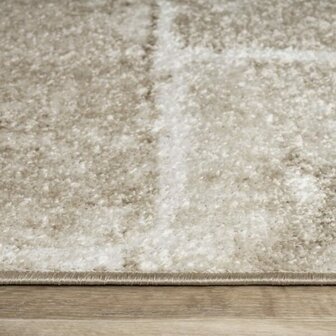 Modern vloerkleed of karpet ARIZONA  kleur bruin 050