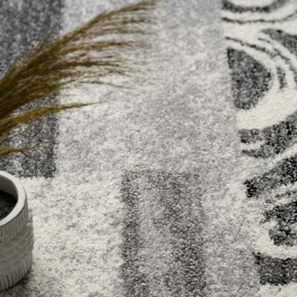 Modern vloerkleed of karpet ARIZONA  kleur grijs 053