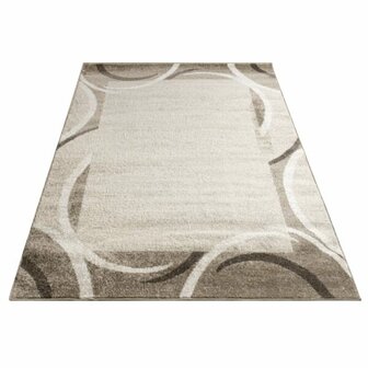 Modern vloerkleed of karpet ARIZONA  kleur bruin 059
