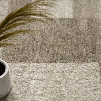 Modern vloerkleed of karpet ARIZONA  kleur bruin 053