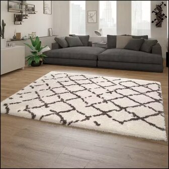 Hoogpolig vloerkleed of karpet RICHMOND kleur creme 653