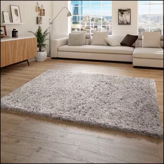Hoogpolig vloerkleed of karpet AMADO kleur grijs 861