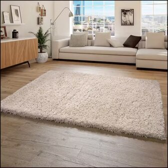 Hoogpolig vloerkleed of karpet AMADO kleur beige 861