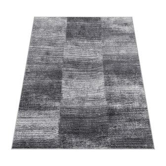 Vloerkleed of karpet LINDY kleur grijs 917