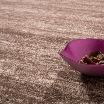 Vloerkleed of karpet LINDY kleur beige 900