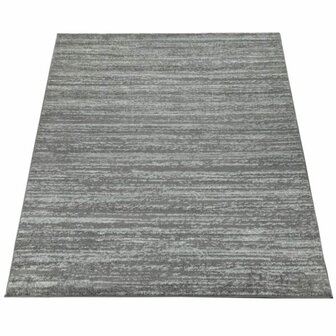 Vloerkleed of karpet LINDY kleur grijs 900