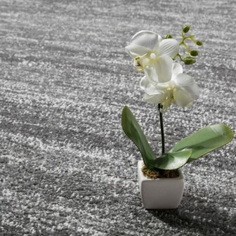 Vloerkleed of karpet LINDY kleur grijs 900