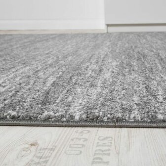 Vloerkleed of karpet LINDY kleur grijs 900