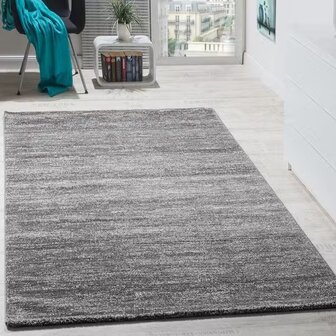 Vloerkleed of karpet LINDY kleur grijs 900