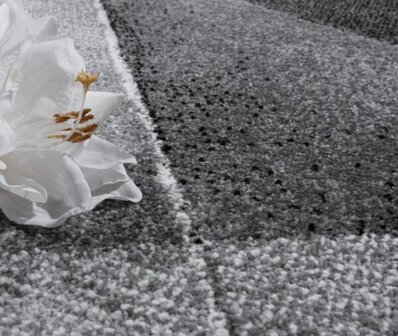 Vloerkleed of karpet LINDY kleur grijs 922