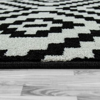 Vloerkleed of karpet PALMER kleur zwart wit 400