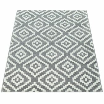 Vloerkleed of karpet PALMER kleur grijs wit 400