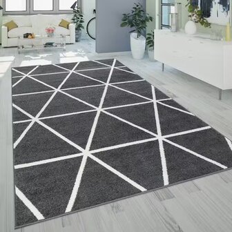 Vloerkleed of karpet PALMER kleur antraciet 401
